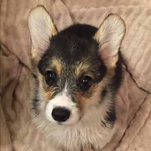 Meet your Posher, Helen